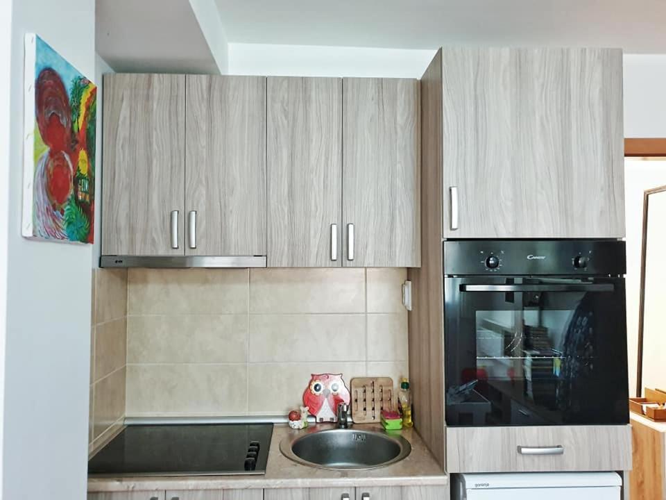 Stan Na Dan Loznica Apartment Екстериор снимка